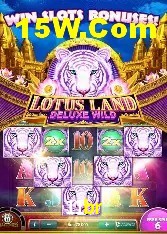 Programa VIP 11br