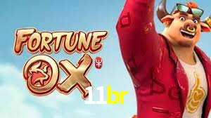 Explore as vantagens do 11br: serviço profissional e confiabilidade