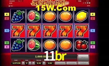 Experiência VIP 11br